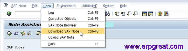 Goto -> Download SAP Note