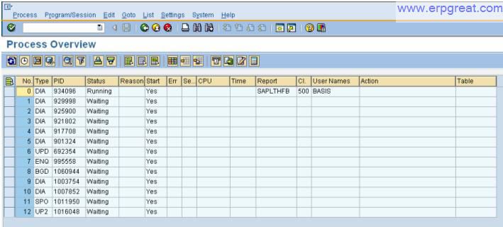 Transaction code SM50 - Work Processor Screen