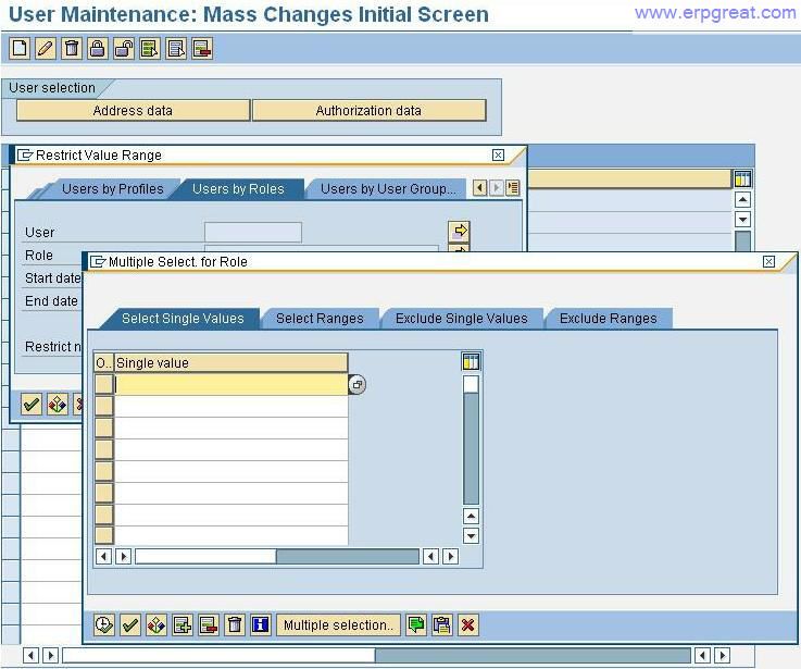 SU10 - Delete Single and Multiple Role