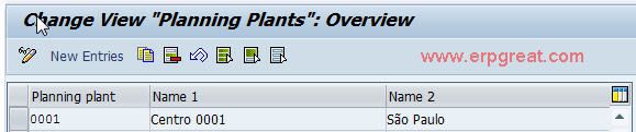 Maintain Maintenance Planning Plant