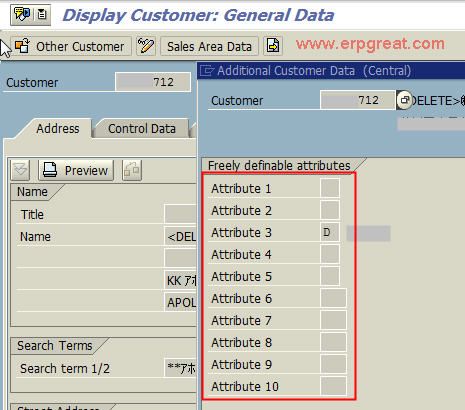 Define Attributes For Customer